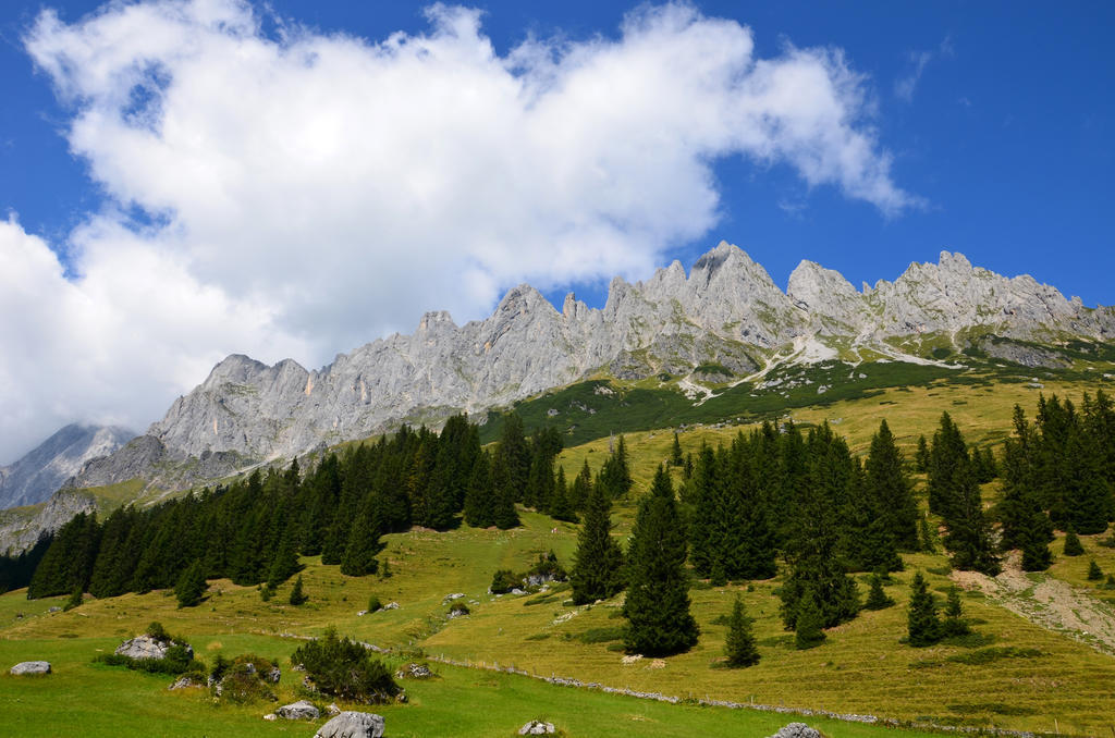 Apartments Alpenfrieden Sankt Martin am Tennengebirge Bagian luar foto