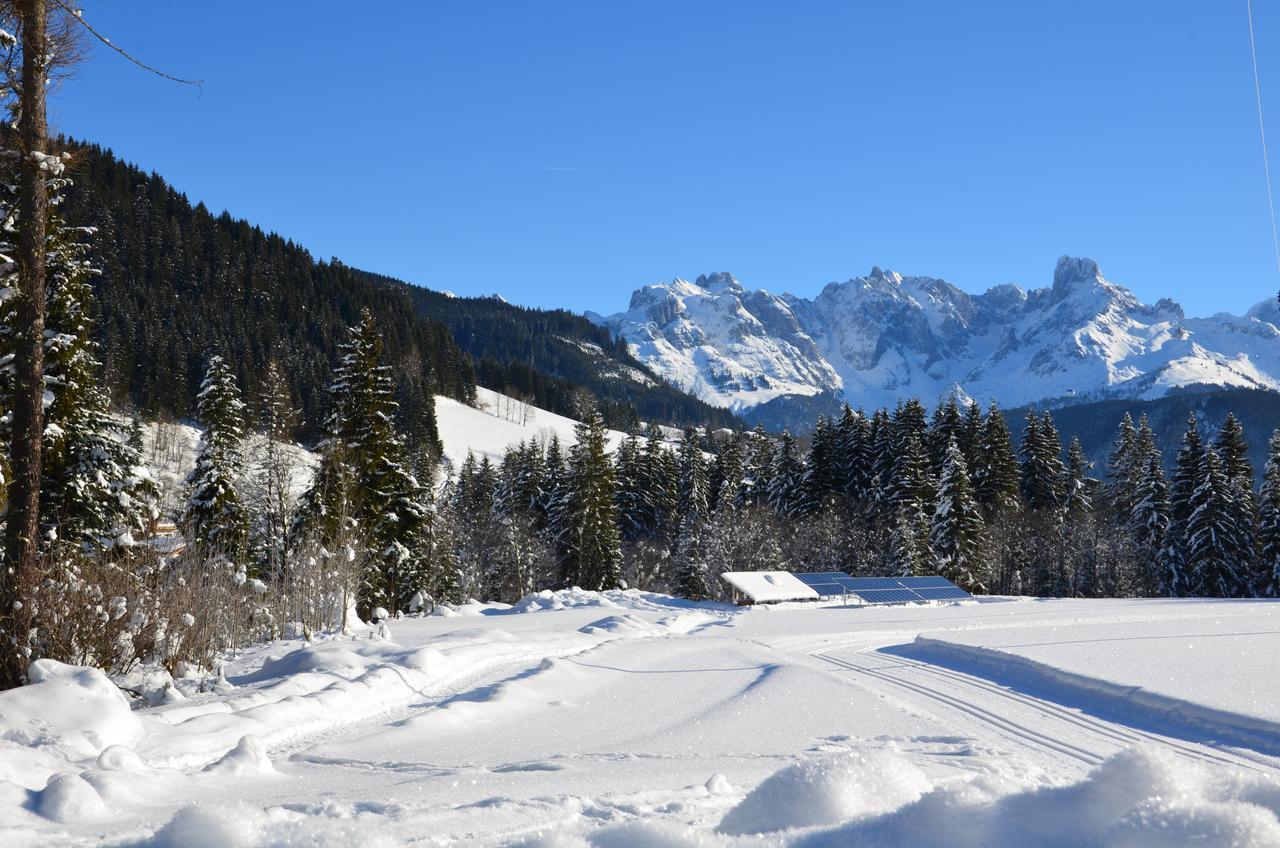 Apartments Alpenfrieden Sankt Martin am Tennengebirge Bagian luar foto