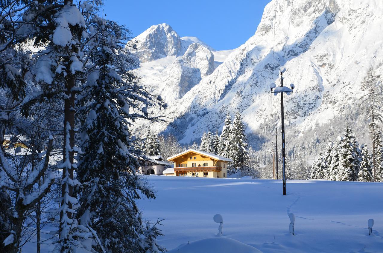 Apartments Alpenfrieden Sankt Martin am Tennengebirge Bagian luar foto